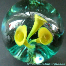 Load image into Gallery viewer,  Antique Victorian Dump Papweight with Three Yellow Trumpet  Flowers
