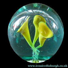 Load image into Gallery viewer,  Antique Victorian Dump Papweight with Three Yellow Trumpet  Flowers
