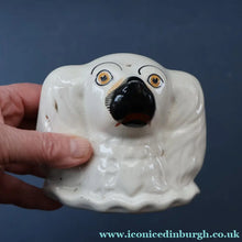Load image into Gallery viewer, Rare Antique 19th Century Staffordshire Bank or Money Box in the Form of a Fireside Spaniel's Head
