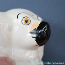 Load image into Gallery viewer, Rare Antique 19th Century Staffordshire Bank or Money Box in the Form of a Fireside Spaniel's Head
