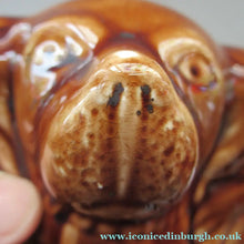 Load image into Gallery viewer, Antique Staffordshire Spaniel's Head Money Box or Saving Bank. Treacle Glaze
