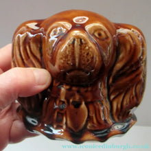 Load image into Gallery viewer, Antique Staffordshire Spaniel's Head Money Box or Saving Bank. Treacle Glaze
