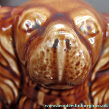 Load image into Gallery viewer, Antique Staffordshire Spaniel's Head Money Box or Saving Bank. Treacle Glaze
