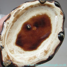Load image into Gallery viewer, Antique Staffordshire Spaniel's Head Money Box or Saving Bank. Treacle Glaze
