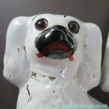 Load image into Gallery viewer, Victorian Antique Staffordshire Chimney Spaniels or Wally Dugs. 1880s PAIR
