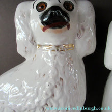 Load image into Gallery viewer, Victorian Antique Staffordshire Chimney Spaniels or Wally Dugs. 1880s PAIR
