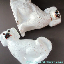 Load image into Gallery viewer, Victorian Antique Staffordshire Chimney Spaniels or Wally Dugs. 1880s PAIR
