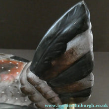 Load image into Gallery viewer, LARGE Antique Staffordshire Hen on Nest / Hen on Basket Lidded Dish. Beautiful Colours

