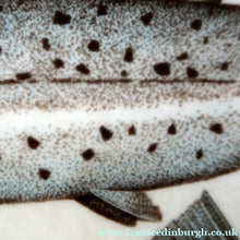 Load image into Gallery viewer, VILLEROY &amp; BOCH.  Fish Plate from the Atlantic Range. No 1: The Salmon
