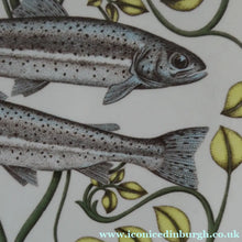 Load image into Gallery viewer, VILLEROY &amp; BOCH.  Fish Plate from the Atlantic Range. No 2: The Trout
