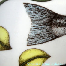 Load image into Gallery viewer, VILLEROY &amp; BOCH.  Fish Plate from the Atlantic Range. No 2: The Trout
