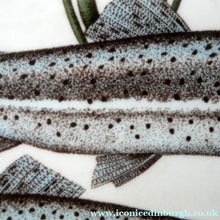 Load image into Gallery viewer, VILLEROY &amp; BOCH.  Fish Plate from the Atlantic Range. No 2: The Trout
