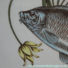 Load image into Gallery viewer, VILLEROY &amp; BOCH.  Fish Plate from the Atlantic Range. No 3: The Carp
