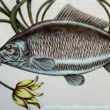 Load image into Gallery viewer, VILLEROY &amp; BOCH.  Fish Plate from the Atlantic Range. No 3: The Carp

