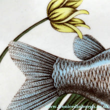 Load image into Gallery viewer, VILLEROY &amp; BOCH.  Fish Plate from the Atlantic Range. No 3: The Carp
