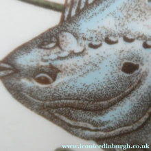 Load image into Gallery viewer, VILLEROY &amp; BOCH.  Fish Plate from the Atlantic Range. No 4: The Plaice 
