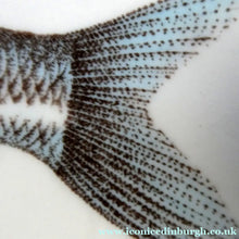 Load image into Gallery viewer, VILLEROY &amp; BOCH.  Fish Plate from the Atlantic Range. No 5: The Bream
