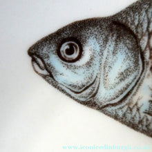 Load image into Gallery viewer, VILLEROY &amp; BOCH.  Fish Plate from the Atlantic Range. No 5: The Bream
