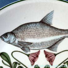Load image into Gallery viewer, VILLEROY &amp; BOCH.  Fish Plate from the Atlantic Range. No 5: The Bream
