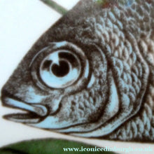 Load image into Gallery viewer, VILLEROY &amp; BOCH.  Fish Plate from the Atlantic Range. No 6: The Sea Bream
