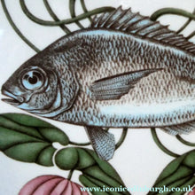 Load image into Gallery viewer, VILLEROY &amp; BOCH.  Fish Plate from the Atlantic Range. No 6: The Sea Bream

