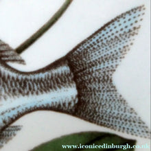 Load image into Gallery viewer, VILLEROY &amp; BOCH.  Fish Plate from the Atlantic Range. No 6: The Sea Bream
