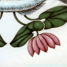 Load image into Gallery viewer, VILLEROY &amp; BOCH.  Fish Plate from the Atlantic Range. No 6: The Sea Bream
