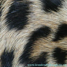 Load image into Gallery viewer, Vintage 1940s "Panthera Pardus" Leopard Skin Cigarette Case or Business Card Case
