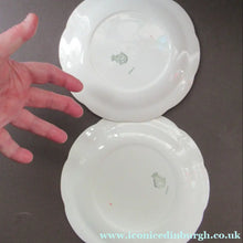 Load image into Gallery viewer, 1950s Atomic Garden Design. Crown Ducal Arizona Pattern  Pair of Side Plates
