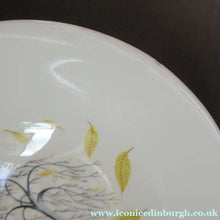 Load image into Gallery viewer, 1950s Johnson Brothers Autumn Leaves Set of Five Oval Bowls
