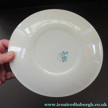Load image into Gallery viewer, 1950s Johnson Brothers Autumn Leaves  Oval Flat Plate
