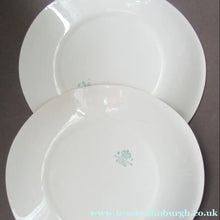 Load image into Gallery viewer, 1950s Johnson Brothers Autumn Leaves Pair of Ovel Serving Plates
