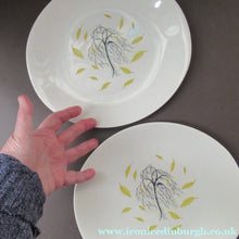Load image into Gallery viewer, 1950s Johnson Brothers Autumn Leaves Pair of Ovel Serving Plates
