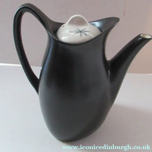 Load image into Gallery viewer, 1950s Terrence Conran Nature Study Coffee Pot 
