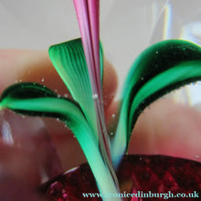 Load image into Gallery viewer, 1960s Strathearn Paperweight Lampwork Pink Flower and Faceted Panels Original Box Scottish Glass
