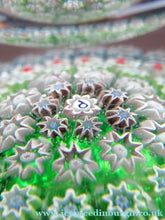 Load image into Gallery viewer, 1980s Perthshire Paperweights 1980s Perfume Bottle  Millefiori Canes

