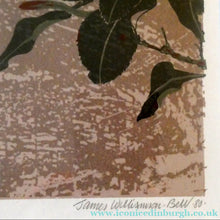 Load image into Gallery viewer, 1980s Woodcut by James Williamson Bell (1938 - 2010), "BLACKBIRD". Signed in Pencil
