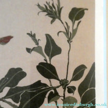 Load image into Gallery viewer, 1980s Woodcut by James Williamson Bell (1938 - 2010), "BLACKBIRD". Signed in Pencil
