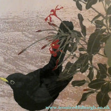 Load image into Gallery viewer, 1980s Woodcut by James Williamson Bell (1938 - 2010), "BLACKBIRD". Signed in Pencil
