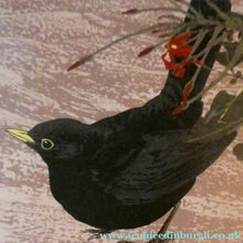 Load image into Gallery viewer, 1980s Woodcut by James Williamson Bell (1938 - 2010), "BLACKBIRD". Signed in Pencil
