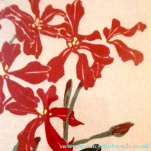 Load image into Gallery viewer, 1980s Woodcut by James Williamson Bell (1938 - 2010), "BLACKBIRD". Signed in Pencil
