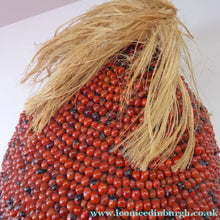 Load image into Gallery viewer, AFRICAN MASK North NIgeria Koro Angas People Red Abrus Berries
