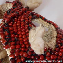 Load image into Gallery viewer, AFRICAN MASK North NIgeria Koro Angas People Red Abrus Berries
