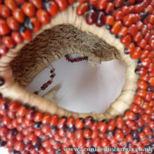 Load image into Gallery viewer, AFRICAN MASK North NIgeria Koro Angas People Red Abrus Berries
