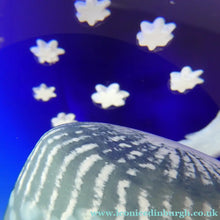 Load image into Gallery viewer, HUGE Caithness Glass Paperweight. FANTASY ISLAND: (Midnight Mountain)
