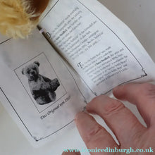 Load image into Gallery viewer, Vintage GEBRUDER BING Style / Steiff Musical Bear. Limited Edition of only 500. Musical No-No Lullaby Teddy Bear

