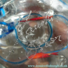 Load image into Gallery viewer, Vintage Italian Murano Glass GOLDFISH IN A BAG Model. Signed Oscar Zanetti
