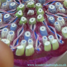 Load image into Gallery viewer, Vintage JOHN DEACONS Paperweight Cranberry Glass Ground, Millefiori Canes &amp; Nine Half Spokes. StK Cane

