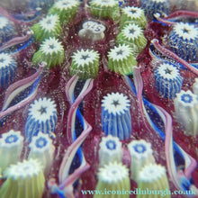 Load image into Gallery viewer, Vintage JOHN DEACONS Paperweight Cranberry Glass Ground, Millefiori Canes &amp; Nine Half Spokes. StK Cane
