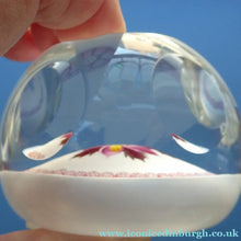 Load image into Gallery viewer, LIMITED EDITION 1983 Caithness Glass Paperweight. Entitled "Winter Flower" by William Manson
